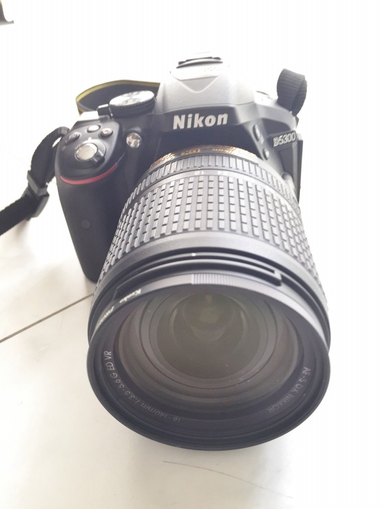 【Nikon D5300レビュー】女性でもなんとか使いこなせる所が魅力!!