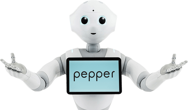 ヒカキンが購入したPepper君の価格とその機能とは!?