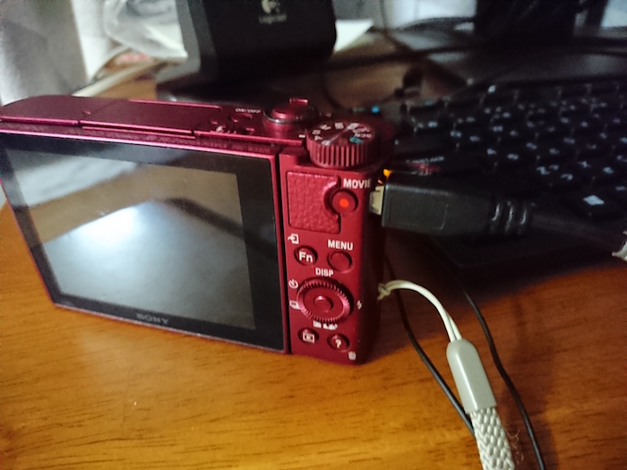 【Cyber shot DSC-WX500レビュー】予算を超えたカメラ購入、その理由とは