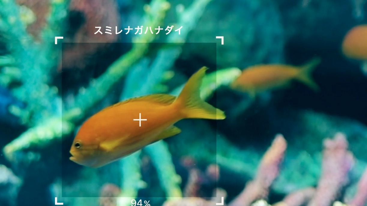 かざすだけで生物の名前がわかる「LINNÉ LENS(リンネレンズ)」で東のエデンシステムを思い浮かべた