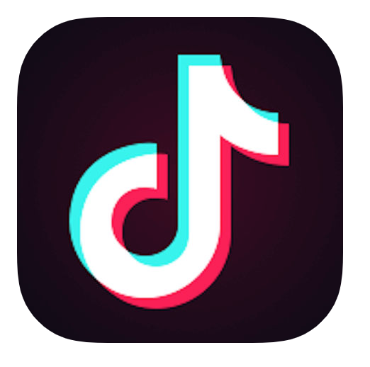TikTokの可愛い歌・曲・人を投稿を分析してみた