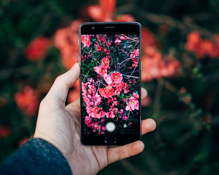 カメラ性能の良いスマホ6選!