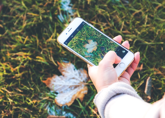 instagramで投稿された写真の景色が本当に美しいかなんてわからないものだな